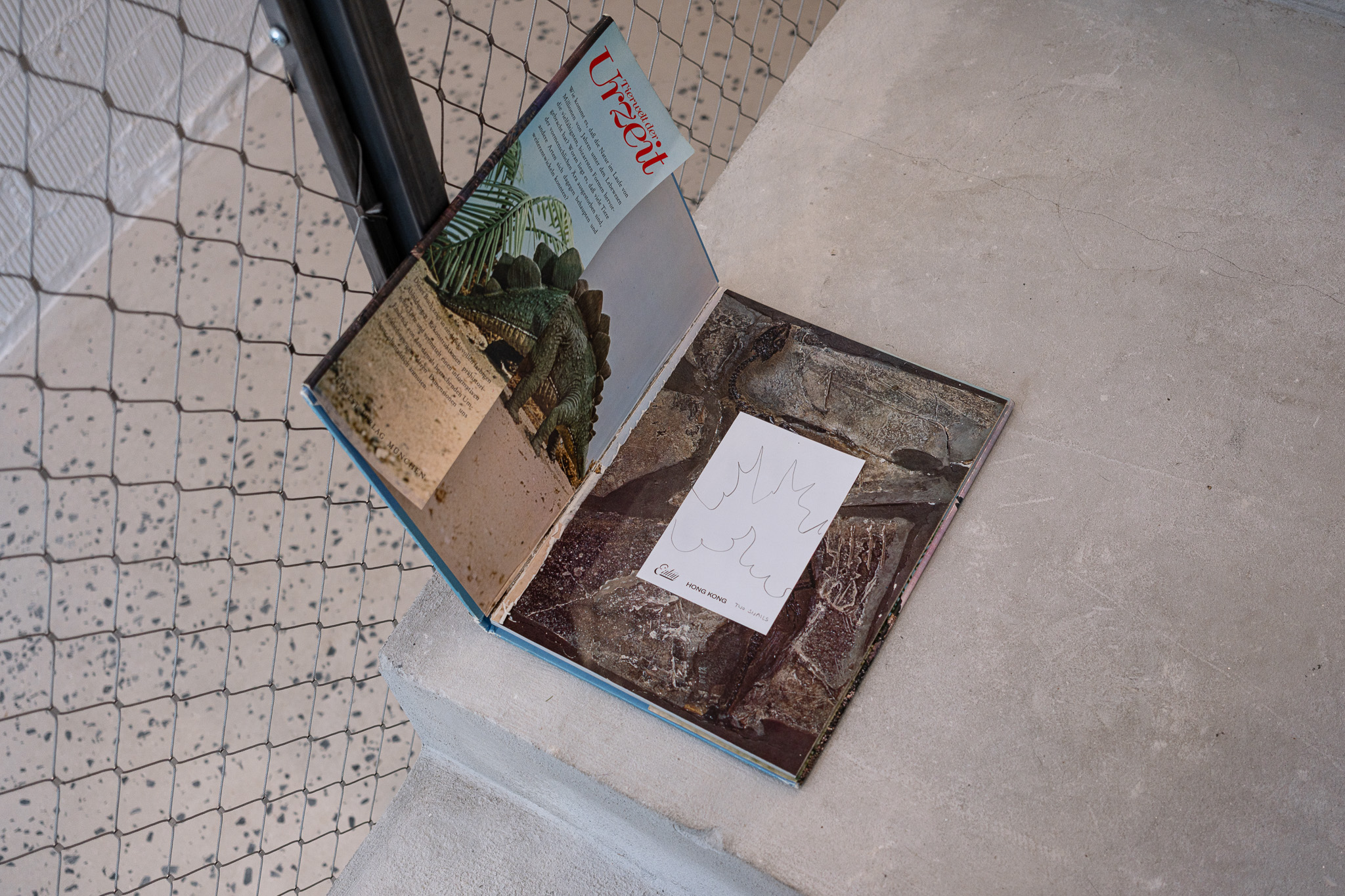 Die Geburt der Lurche