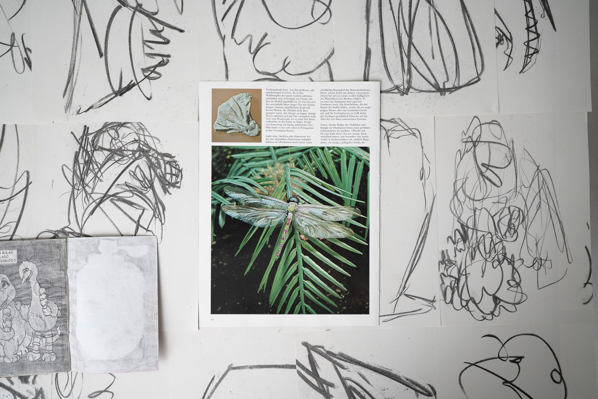 Die Geburt der Lurche